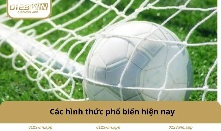 Các hình thức phổ biến 