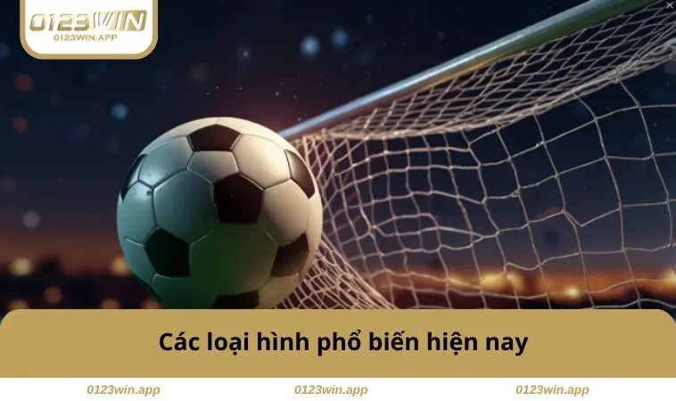 Các loại hình phổ biến 