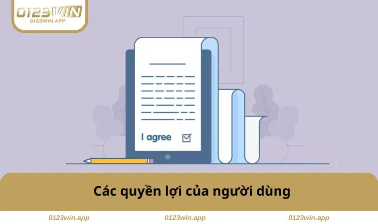 Các quyền lợi của người dùng