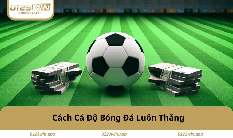 cach-ca-do-bong-da-luon-thang
