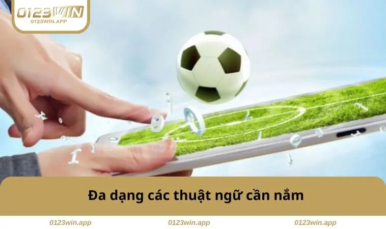 Đa dạng các thuật ngữ cần nắm
