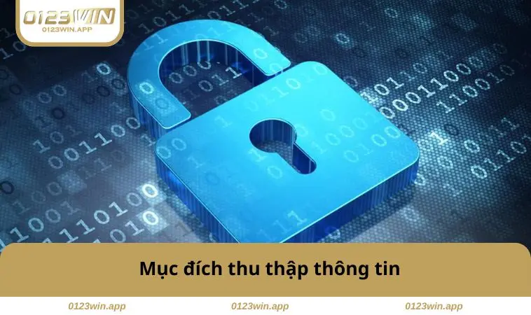 Mục đích thu thập thông tin