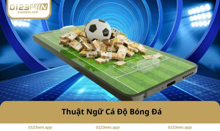 thuat-ngu-ca-do-bong-da